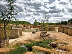 149 BIO PARC DE DOUE LA FONTAINE 4- 2016_000007